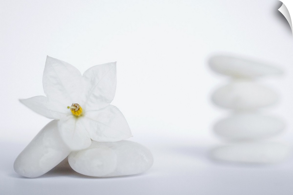 Two soft white stones are laid onto each other with a delicate white flower on top of them. A pile of four stones is shown...