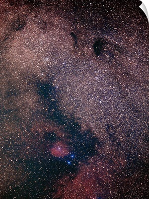 Star Cloud of Sagittarius