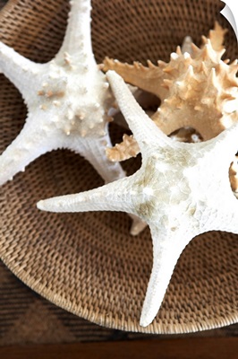 Starfish In A Basket