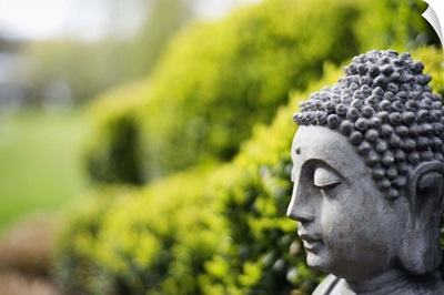 Statue of Buddha in a garden