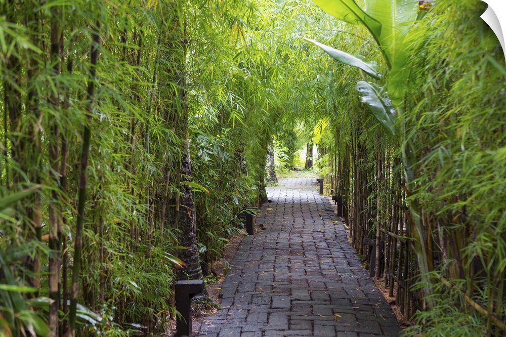 Stone pathway in tropical rainforest, Ubud, Bali, Indonesia