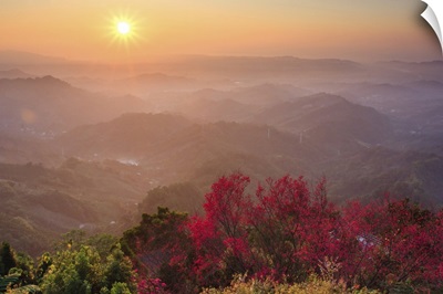Sun burst, cherry blossoms and mountain layers, Taichung.