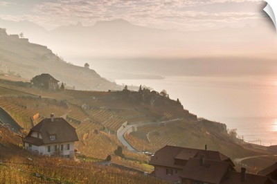 Sunrise at Lavaux vineyard terraces in western Switzerland.