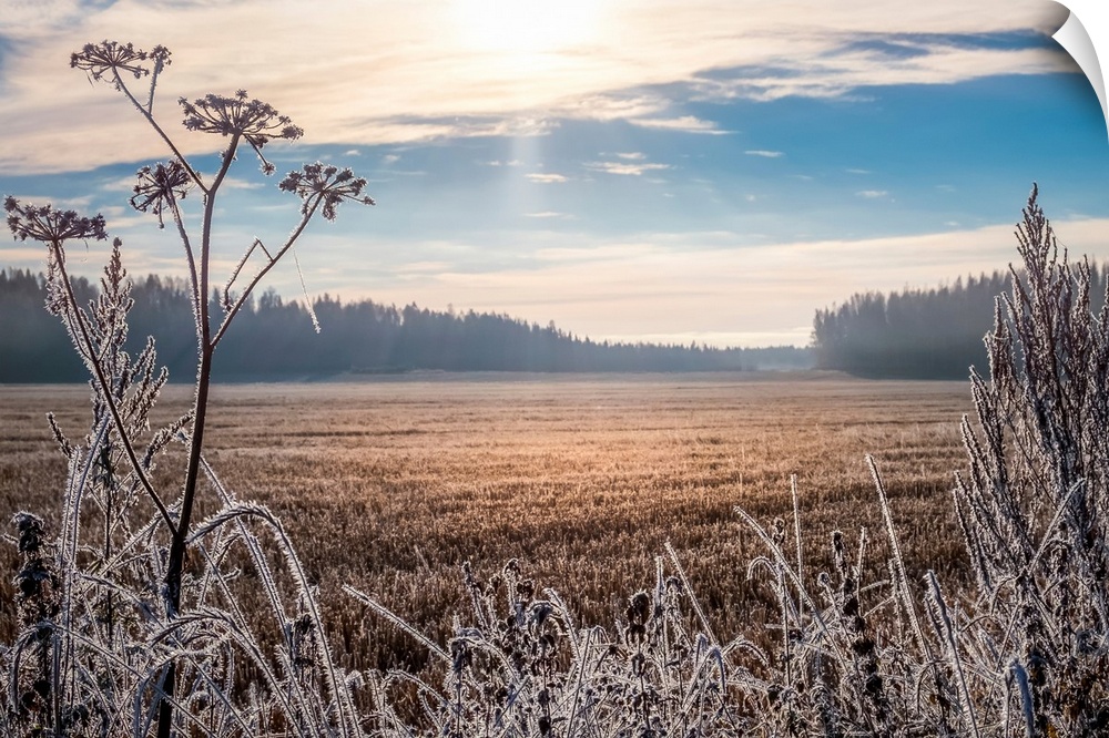Scenic and bright landscape with sunrise on a frosty autumn morning.