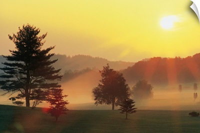Sunrise over rural landscape with fog