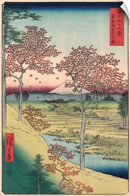 Sunset Hill, Meguro In The Eastern Capital By Ando Hiroshige