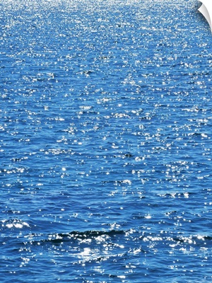 Surface of the sea