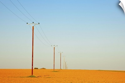 Telephone poles in field.