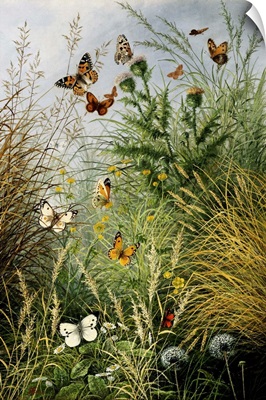 The Butterflies' Haunt (Dandelion Clocks And Thistles) By William Scott Myles