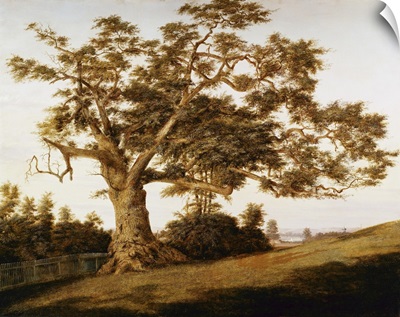 The Charter Oak By Charles De Wolfe Brownell