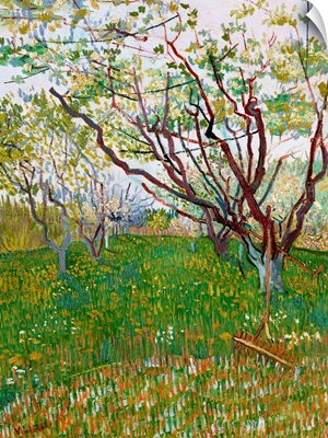 The Flowering Orchard By Vincent Van Gogh