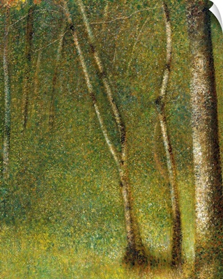 The Forest At Pontaubert By Georges Seurat