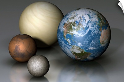 The four terrestrial planets compared in scale