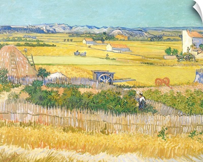 The Harvest By Vincent Van Gogh