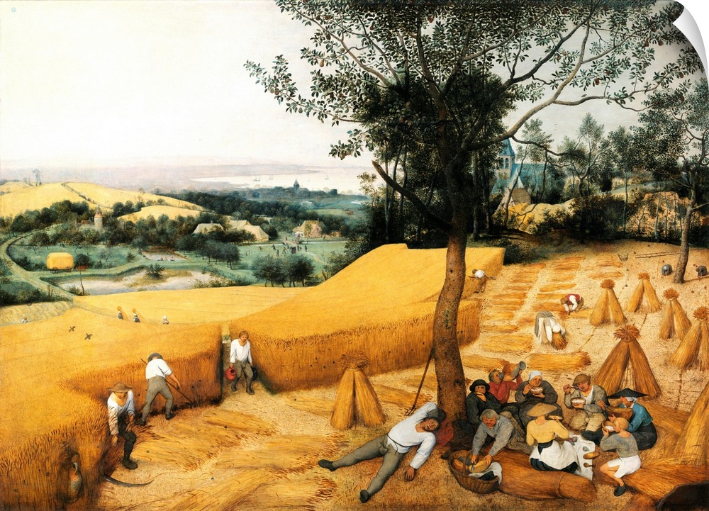 The Harvesters, from Bruegel's Cycle of the Four Seasons. 1565. Oil on panel, 162 x 119 cm (63.8 x 46.9 in). Metropolitan ...
