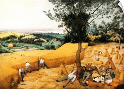 The Harvesters By Pieter Brueghel The Elder