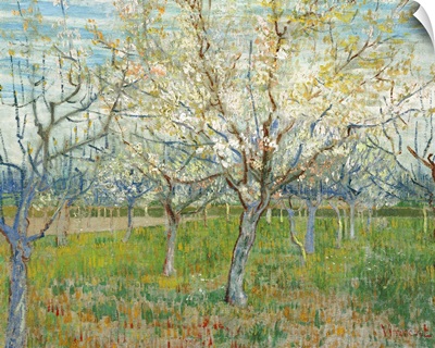 The Pink Orchard By Vincent Van Gogh