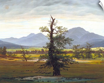 The Solitary Tree (Village Landscape In Morning Light) By Caspar David Friedrich