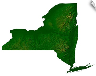 Topographic map of New York State