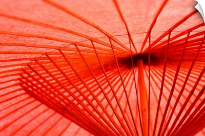 Traditional Japanese Umbrella at Nikko, Japan