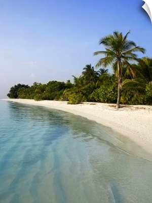 Tranquil tropical beach scene, Maldive Islands
