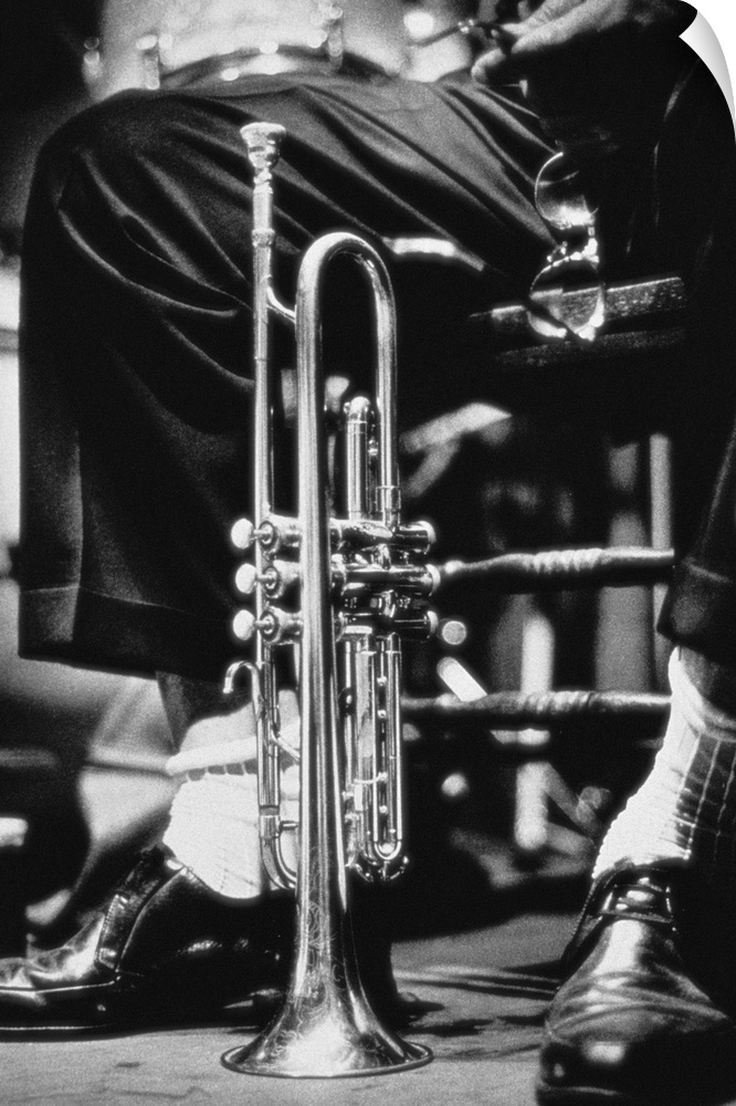 Trumpet between jazz player's legs