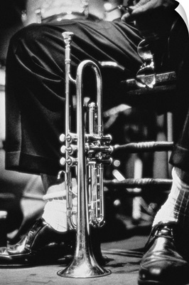 Trumpet between jazz player's legs