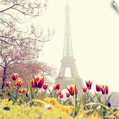 Tulips flowers with Eiffel Tower background, Paris, France