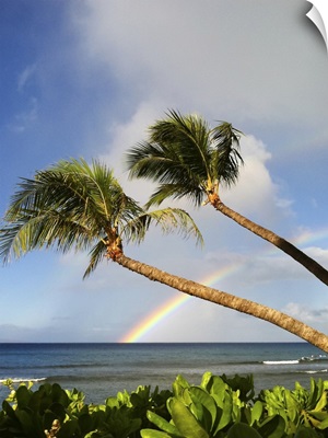 Two palm trees on beach and rainbow over sea in background at Hawaii.