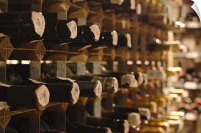 United Kingdom, Bristol, old wine bottles on cellar shelves