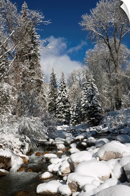 USA, Colorado, Winter landscape