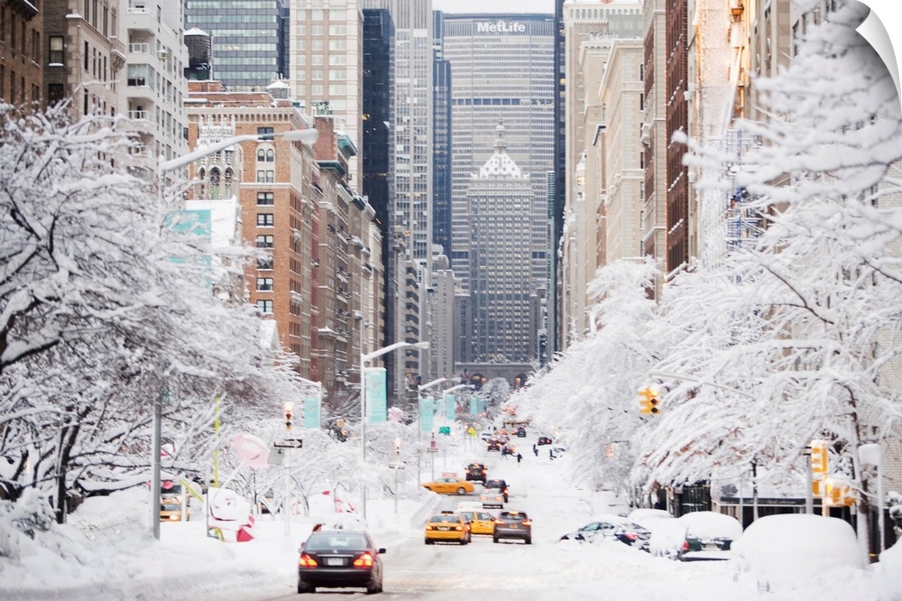 This photograph was taken looking down park avenue in NYC with the trees covered in snow on either side of the street and ...