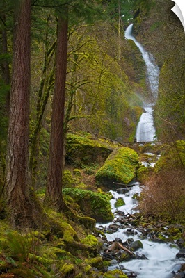 USA, Oregon, Multnomah County, Wahkenna Falls