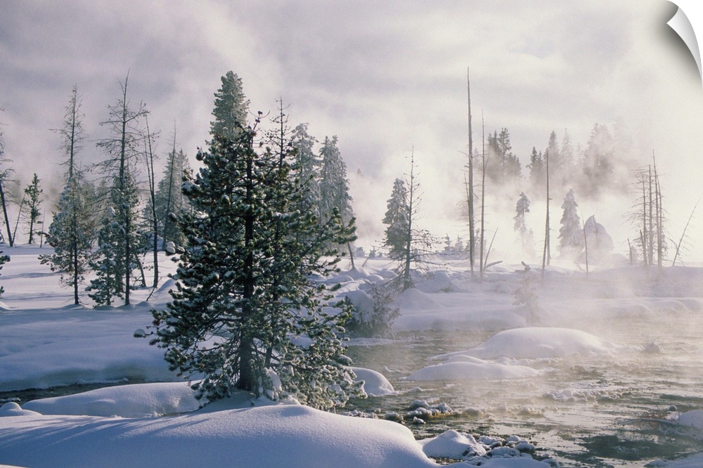 USA, Wyoming, Yellowstone National Park, Thumb Geyser Basin, winter