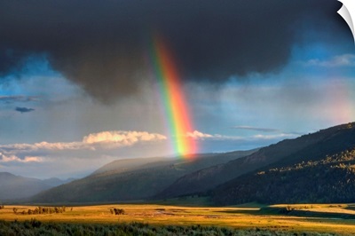 Very intensive rainbow in part of Lamar Valley in Yellowstone National Park