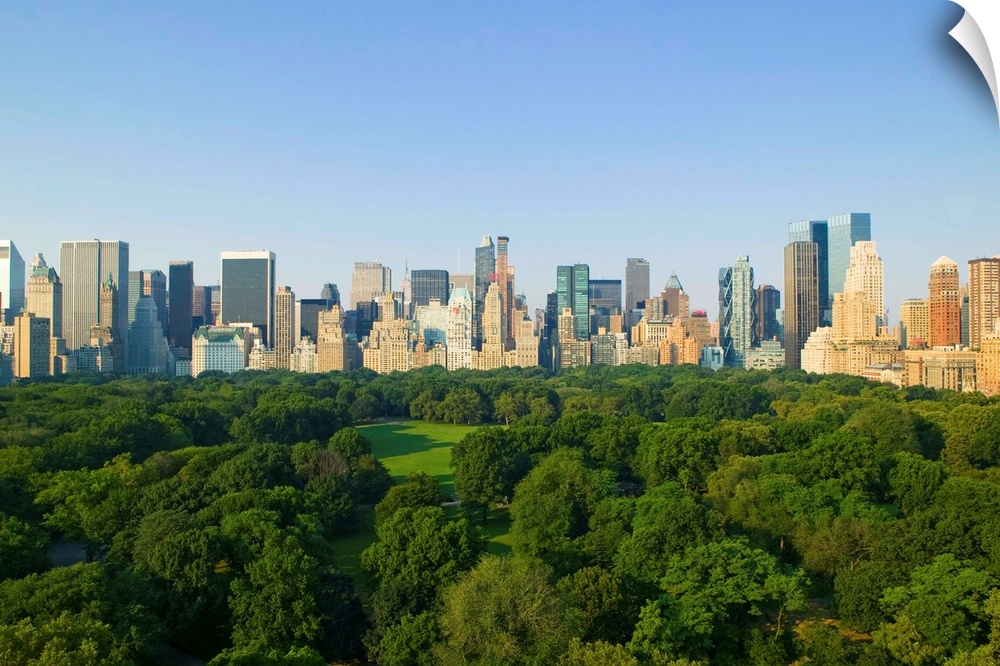 2008 marked the 150th anniversary of Frederick Law Olmsted and Calvert Vaux's Greensward plan for Central Park.
