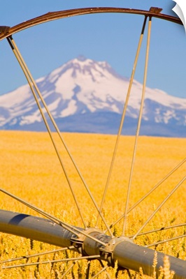 View of Mount Hood through farming equipment, Oregon, USA