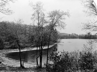 Walden Pond From Henry David Thoreau's Hut