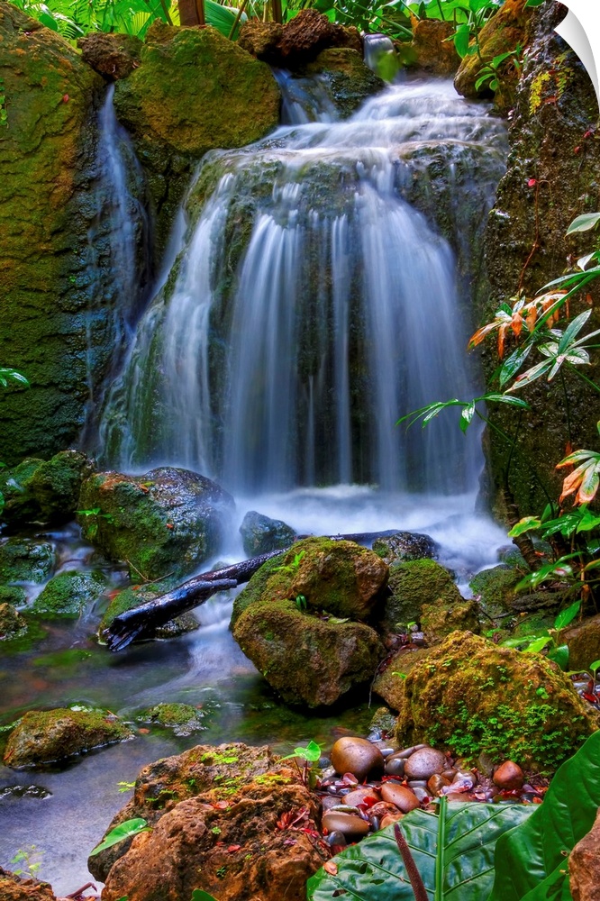 Photograph of cascading water falling into a rocky stream in colorful forest.