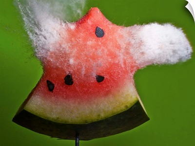 Watermelon Explosion
