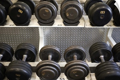 Weights on rack in gym
