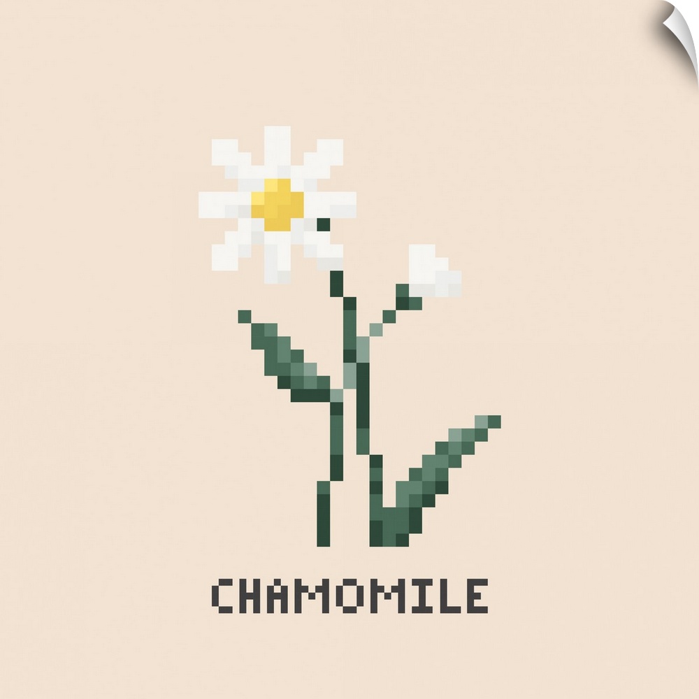 White Chamomile Pixel Art
