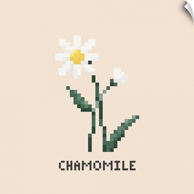 White Chamomile Pixel Art