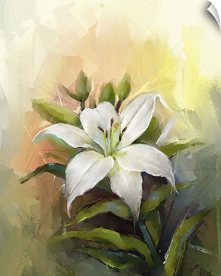 White Lily Flower