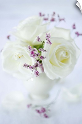 White roses in vase