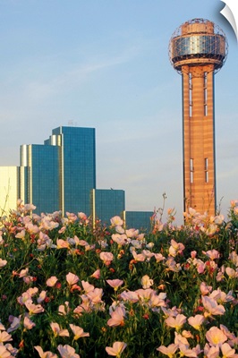 Wildflowers and Dallas skyline at sunset with Reunion Tower, Texas