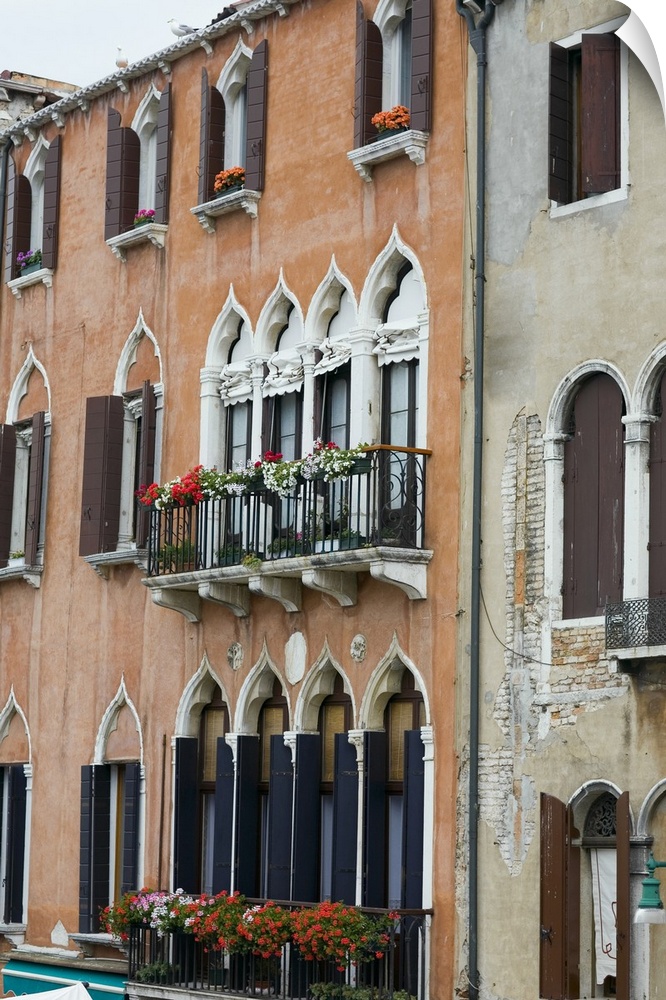 Window boxes hanging on the railings of windows, Venice, Italy