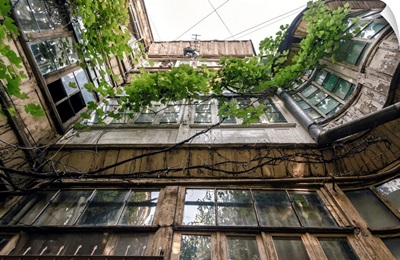 Windows Of An Old Tall House, Tbilisi, Georgia
