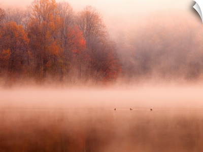 Wonderfully foggy morning on Hopewell Lake.
