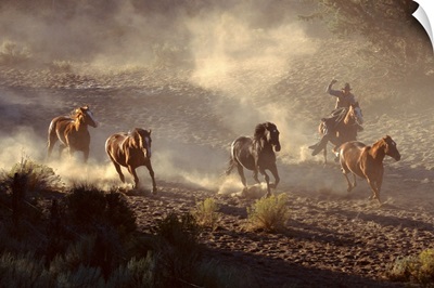 Wrangler with horses
